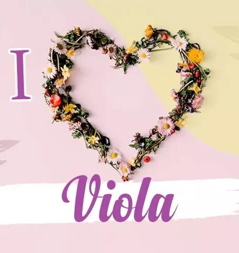Viola