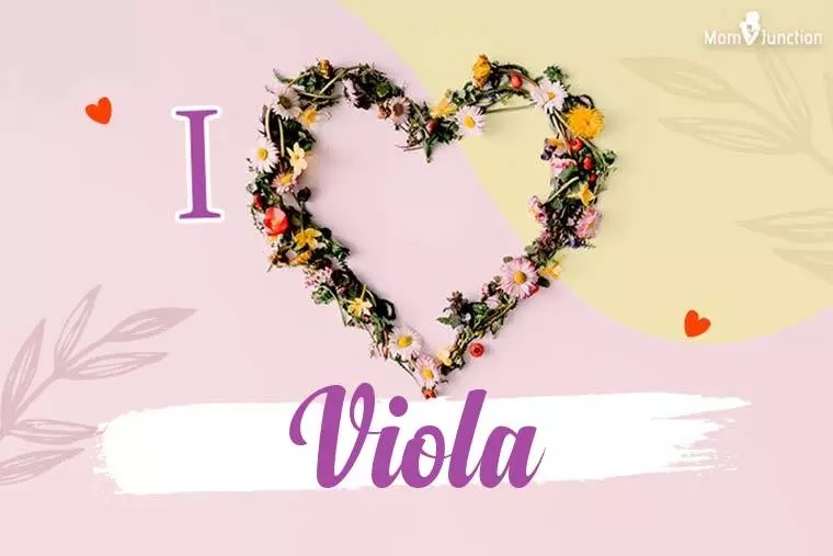 Viola